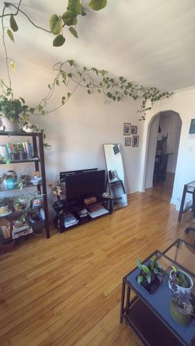 Appartement de 1 chambre à louer à Montreal - Le Plateau-Mont-Royal — photo 7