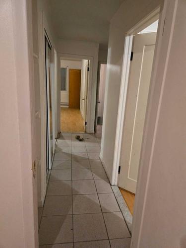 Appartement de 2 chambres à louer à Montreal - Saint-Léonard — photo 3