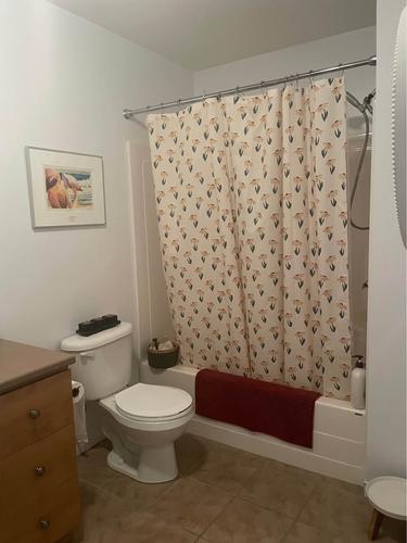 Appartement de 3 chambres à louer à Sherbrooke — photo 8