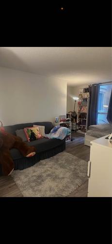 1 bedroom apartment for rent in Montreal - Le Plateau-Mont-Royal — photo 5