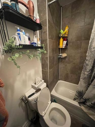 Appartement de 2 chambres à louer à Montreal - Rosemont–La Petite-Patrie — photo 12
