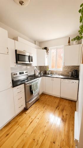 Appartement de 1 chambre à louer à Montreal - Le Plateau-Mont-Royal — photo 2