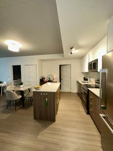 Appartement de 1 chambre à louer à Laval — photo 3
