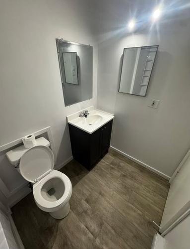 Appartement de 2 chambres à louer à Montreal - Rosemont–La Petite-Patrie — photo 4