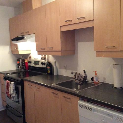 3 bedrooms apartment for rent in Québec - La Cité-Limoilou — photo 8