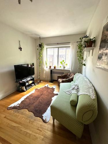 Appartement de 1 chambre à louer à Montreal - Le Plateau-Mont-Royal — photo 6