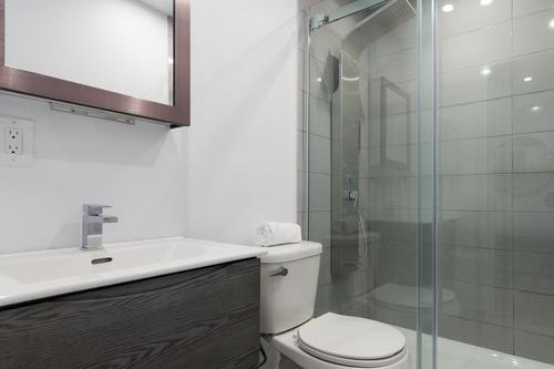 1 bedroom apartment for rent in Montreal - Le Plateau-Mont-Royal — photo 7