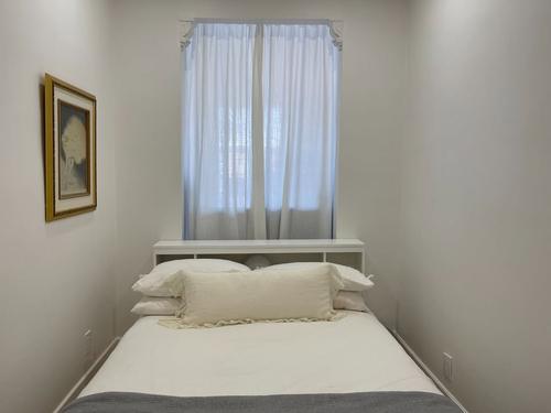 1 bedroom apartment for rent in Montreal - Le Plateau-Mont-Royal — photo 11