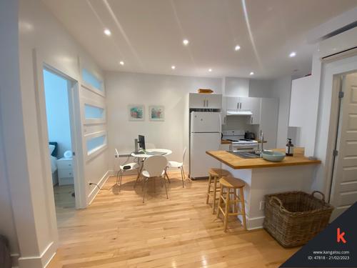 1 bedroom apartment for rent in Montreal - Le Plateau-Mont-Royal — photo 3