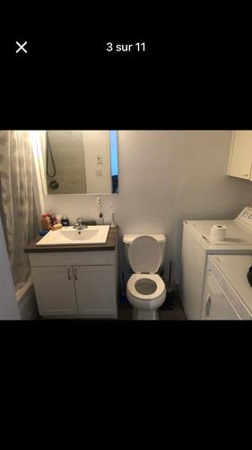 1 bedroom apartment for rent in Québec - La Cité-Limoilou — photo 3