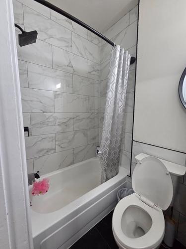 Appartement de 1 chambre à louer à Montreal - Le Plateau-Mont-Royal — photo 7