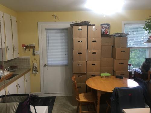 1 bedroom apartment for rent in Lévis — photo 4