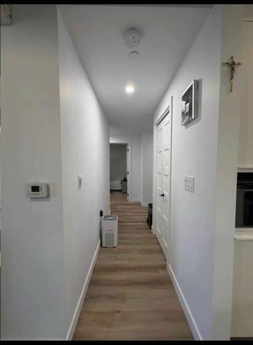 Appartement de 2 chambres à louer à Québec - La Cité-Limoilou — photo 7