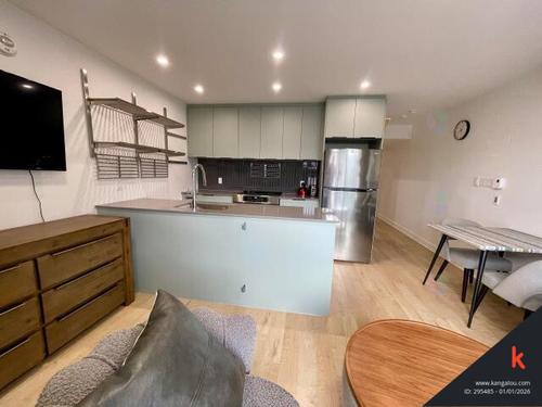 Appartement de 1 chambre à louer à Montreal - Villeray–Saint-Michel–Parc-Extension — photo 21