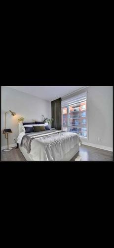 Appartement de 1 chambre à louer à Laval — photo 7