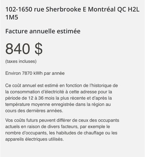 Appartement de 1 chambre à louer à Montreal - Ville-Marie — photo 3