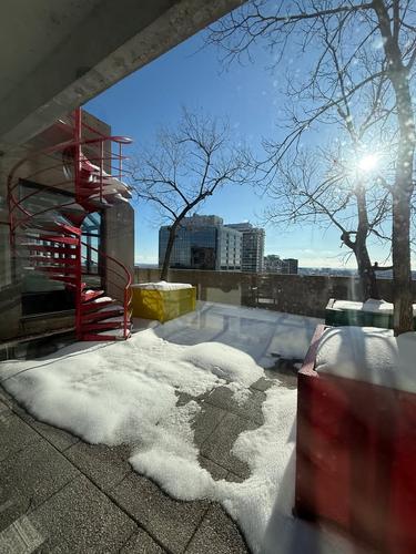 1 bedroom apartment for rent in Montréal — photo 25
