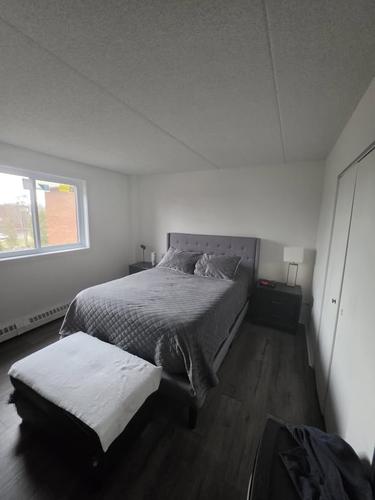 1 bedroom apartment for rent in Saint-Lambert (Montérégie) — photo 4