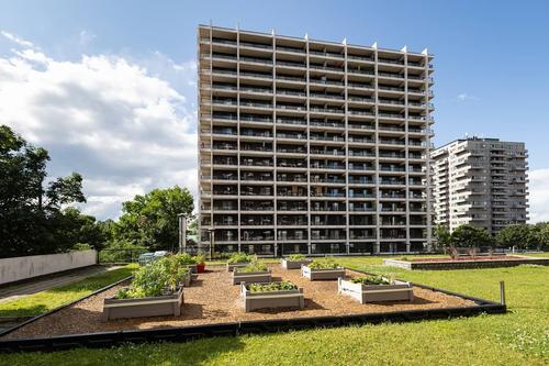 1 bedroom apartment for rent in Québec - La Cité-Limoilou — photo 25