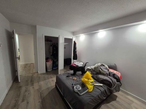 Appartement de 1 chambre à louer à Gatineau — photo 7