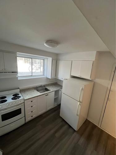 1 bedroom apartment for rent in Montreal - Rosemont–La Petite-Patrie — photo 4
