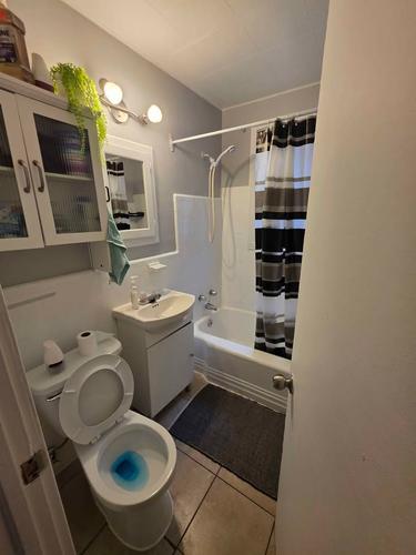 Appartement de 2 chambres à louer à Montreal - Rosemont–La Petite-Patrie — photo 3