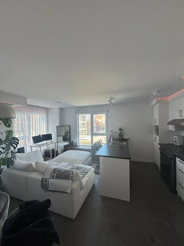 1 bedroom apartment for rent in Québec - La Cité-Limoilou — photo 2