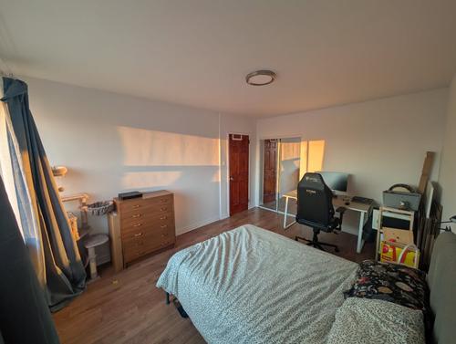 1 bedroom apartment for rent in Montreal - Le Plateau-Mont-Royal — photo 4