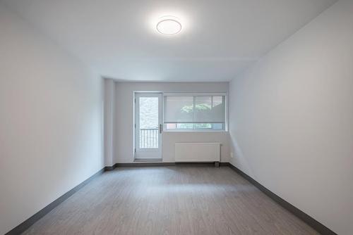 Appartement de 1 chambre à louer à Montreal - Le Plateau-Mont-Royal — photo 8