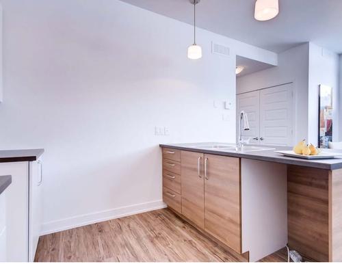 Appartement de 1 chambre à louer à Gatineau — photo 4