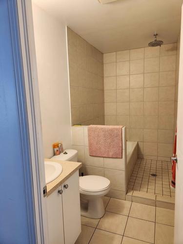 1 bedroom apartment for rent in Montreal - Rosemont–La Petite-Patrie — photo 4