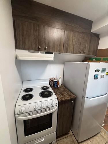 1 bedroom apartment for rent in Montreal - Rosemont–La Petite-Patrie — photo 4