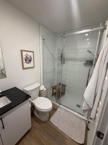 1 bedroom apartment for rent in Québec - La Cité-Limoilou — photo 6