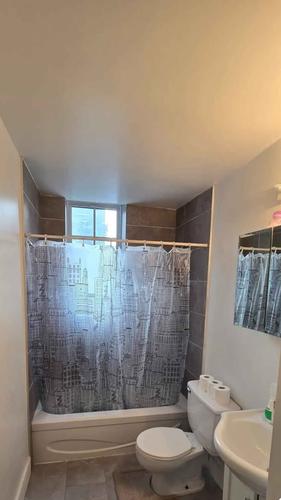 Appartement de 1 chambre à louer à Montreal - Le Plateau-Mont-Royal — photo 10