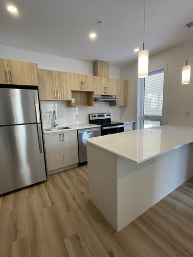 Appartement de 1 chambre à louer à Montreal - Le Plateau-Mont-Royal — photo 4