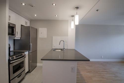 Appartement de 1 chambre à louer à Montreal - Le Plateau-Mont-Royal — photo 3