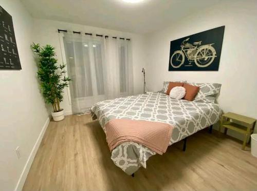2 bedrooms apartment for rent in Québec - La Cité-Limoilou — photo 3