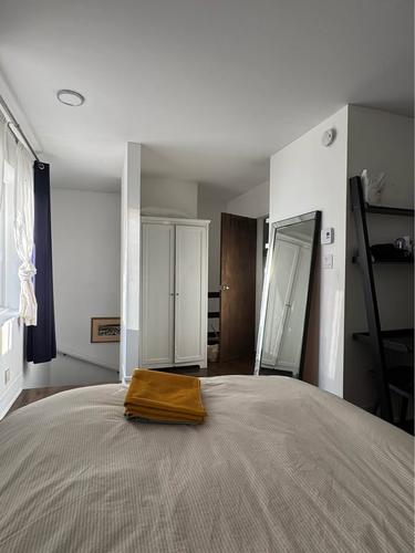 1 bedroom apartment for rent in Montreal - Le Plateau-Mont-Royal — photo 9