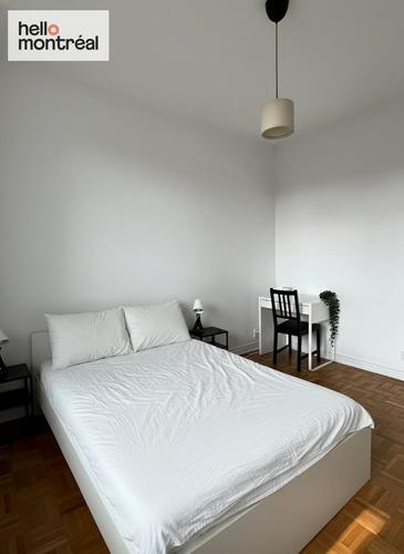 4 bedrooms apartment for rent in Montreal - Le Plateau-Mont-Royal — photo 15