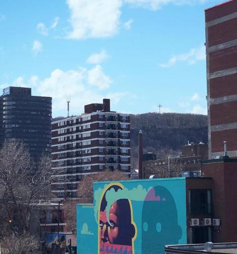 1 bedroom apartment for rent in Montreal - Le Plateau-Mont-Royal — photo 8