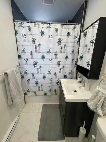 1 bedroom apartment for rent in Montreal - Le Sud-Ouest — photo 4