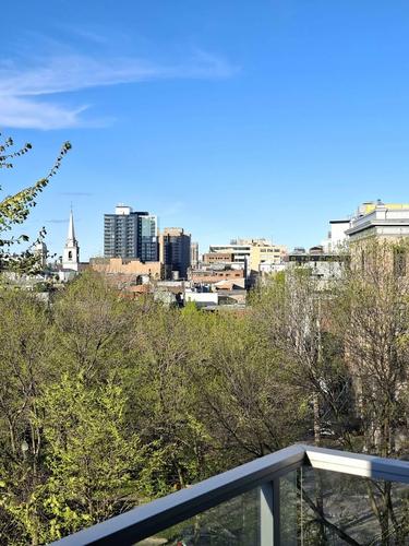 Appartement de 1 chambre à louer à Québec - La Cité-Limoilou — photo 10