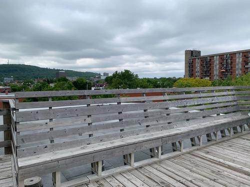 1 bedroom apartment for rent in Montreal - Le Plateau-Mont-Royal — photo 15