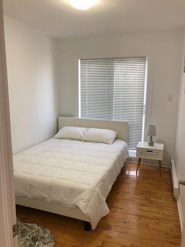Appartement de 2 chambres à louer à Montreal - Le Plateau-Mont-Royal — photo 8