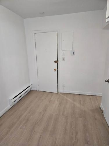 1 bedroom apartment for rent in Montreal - Rosemont–La Petite-Patrie — photo 17