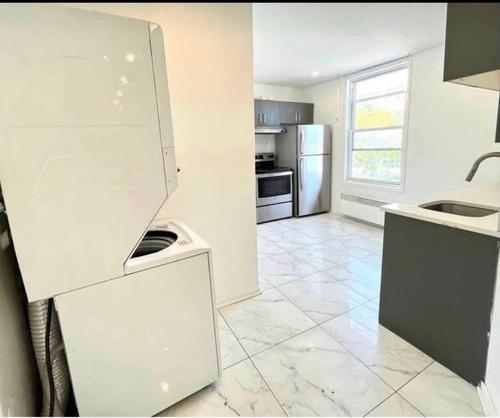 1 bedroom apartment for rent in Montreal - Le Plateau-Mont-Royal — photo 2