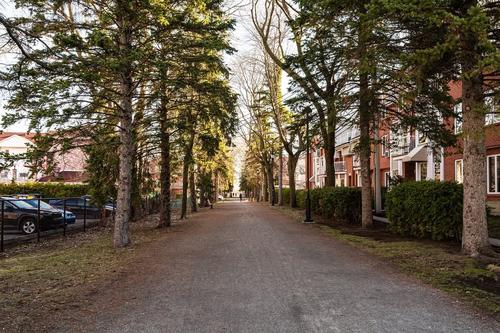 Appartement de 2 chambres à louer à Longueuil — photo 24