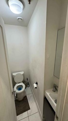 Appartement de 1 chambre à louer à Montreal - Le Plateau-Mont-Royal — photo 6