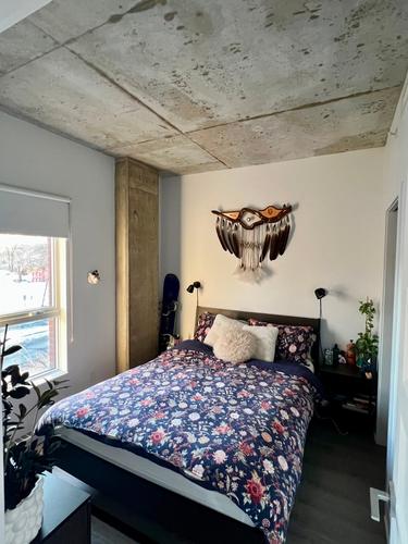 Appartement de 1 chambre à louer à Montreal - Rosemont–La Petite-Patrie — photo 4