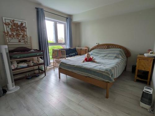 Appartement de 2 chambres à louer à Lévis — photo 2